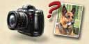 Conseils pour photographier son animal de compagnie